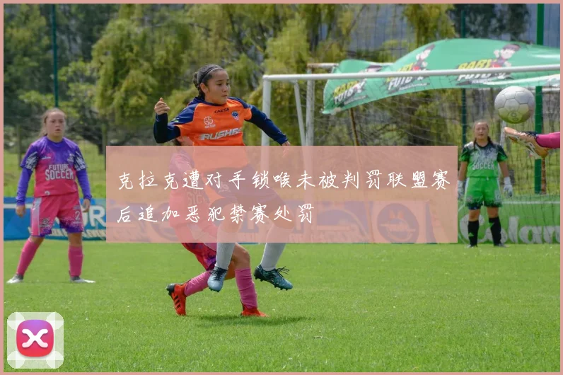 克拉克遭对手锁喉未被判罚联盟赛后追加恶犯禁赛处罚